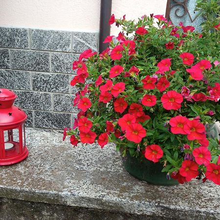 B&B L'Ortensia Vignolo Exteriör bild
