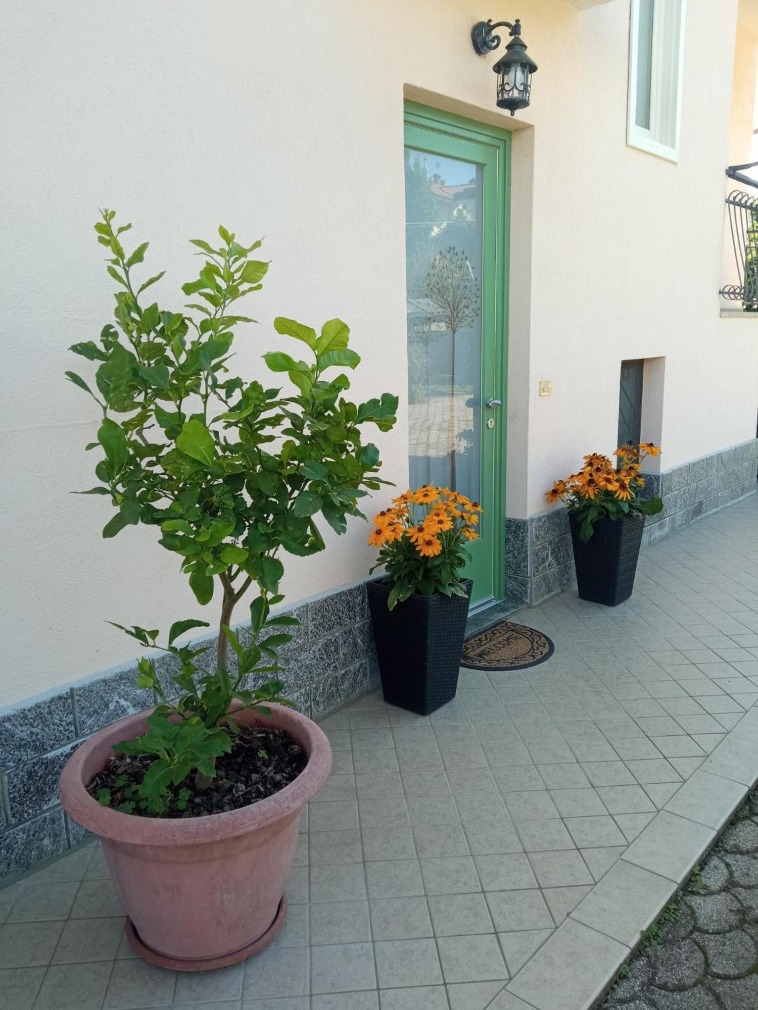 B&B L'Ortensia Vignolo Exteriör bild