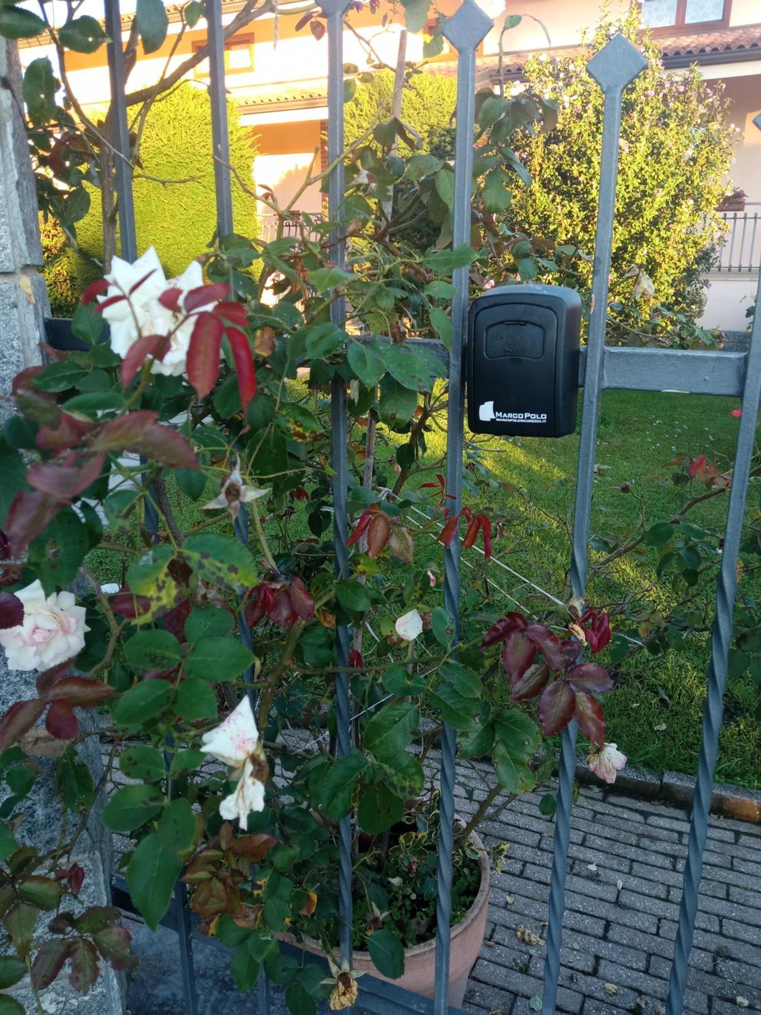 B&B L'Ortensia Vignolo Exteriör bild