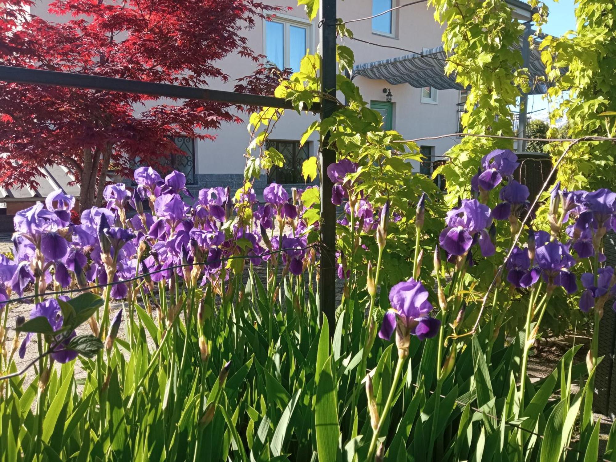 B&B L'Ortensia Vignolo Exteriör bild